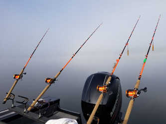 Choosing The Right Whisker Seeker Rod