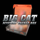 MCTB - Big Cat